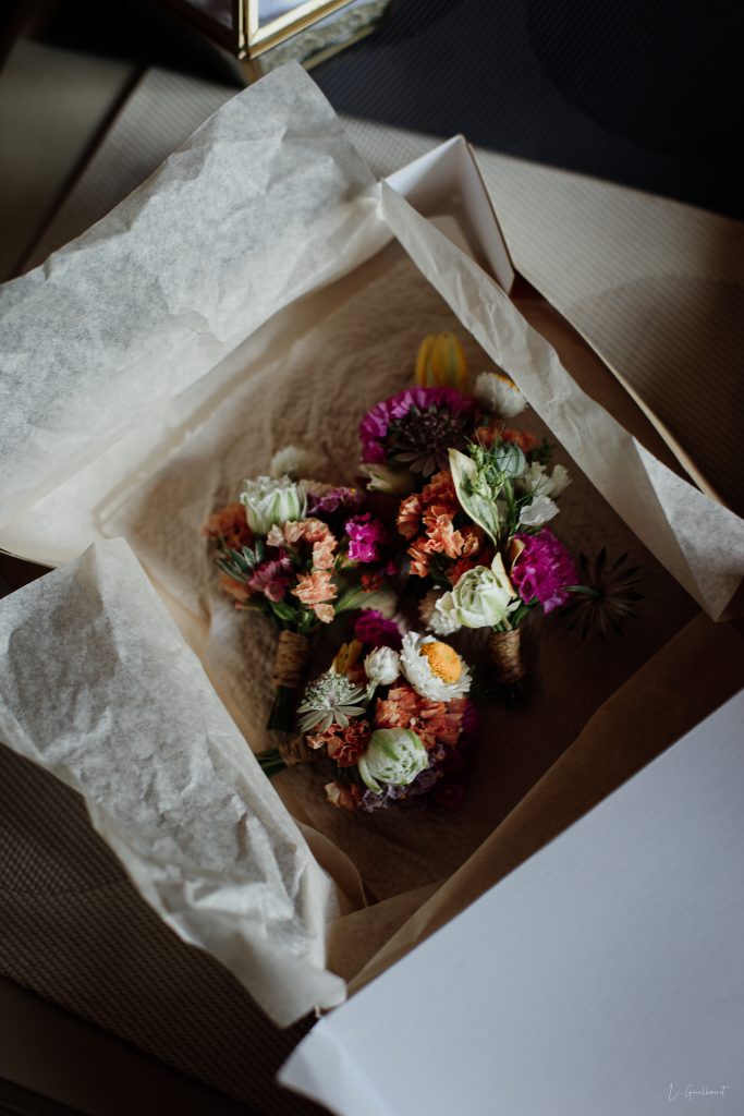 Photographe Montauban